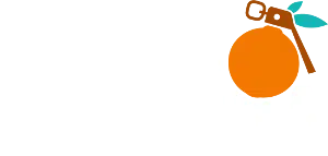 Alerta Naranja